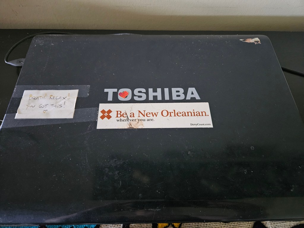 Post Katrina sticker, affirmation, heart AND cat sticker